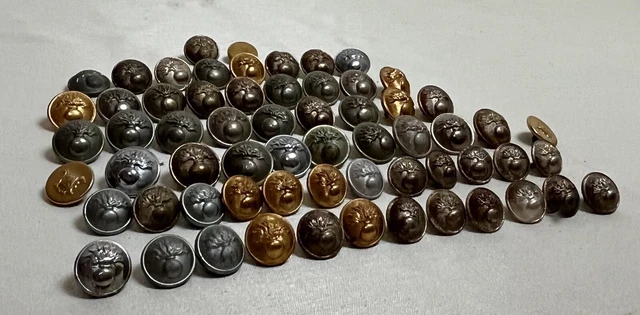 Ancien lot de 63 bouton d'uniforme, manchette Perchet frères, Bourdon ,...