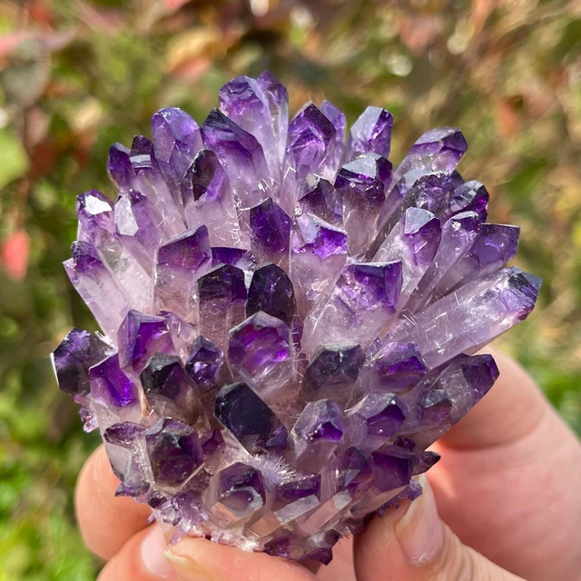 300G New Find purpl Phantom Quartz Crystal Cluster Mineral Specimen Healing