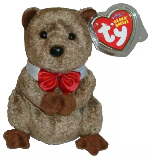 Ty Beanie Baby - PUNXSUTAWNEY PHIL 2009 the Groundhog (COC PA Exclusive) MWMT