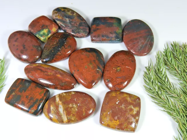 397Cts. Natural Bloodstone Handmade Mix Cabochon Loose Gemstone 12Pcs Lot