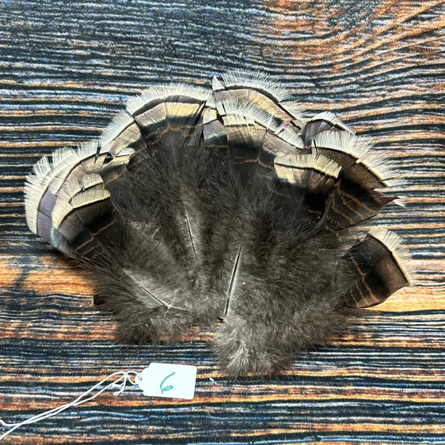 Mini Wild turkey Tail feathers plume art fan Bustle Fly Tying Craft Mount Voodoo Mini Wild turkey Tail feathers plume art fan Bustle Fly Tying Craft Mount Voodoo