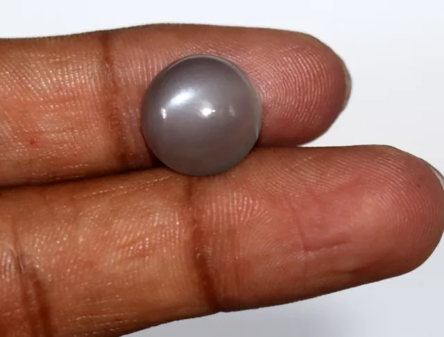 Raro Gris Color Natural de Forma Redonda sin Tratar Piedra Luna Suelto 7.80CT 2