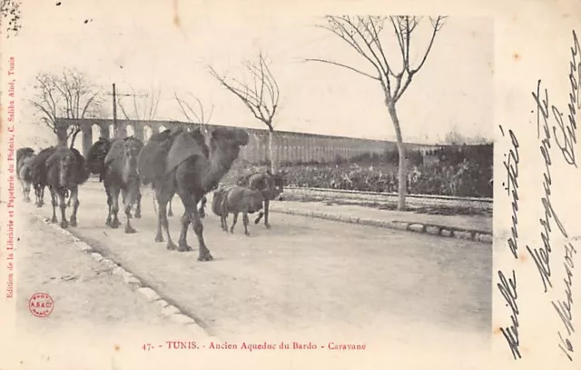 Tunisie - TUNIS - Ancien aqueduc du Bardo - Caravane - Ed. C. Saliba Aîné 47