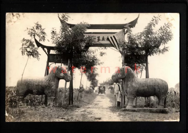 China Nanking ? Stone Statues Of Horses Real Photo Postcard E20C - 38