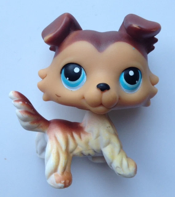Littlest Pet Shop Hasbro – Chien Colley #1676 – Authentique Figurine LPS