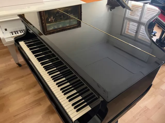 FANTASTISCHER BLÜTHNER Jubiläumsflügel Piano Flügel Grand Piano ZERTIFIZIERT 2