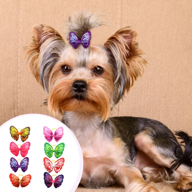 30 piezas Banda para mascotas Hermoso Elegante Color Vivo Mariposa Mascota Tocado Portátil