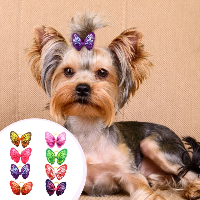 30 piezas Banda para mascotas Hermoso Elegante Color Vivo Mariposa Mascota Tocado Portátil