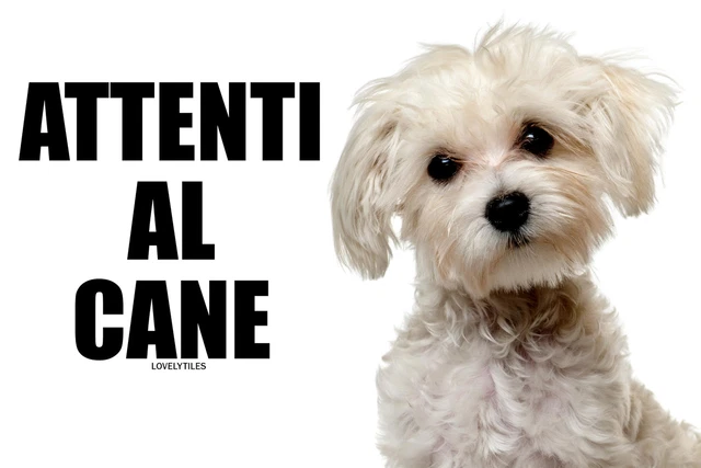 Cartello Per Cancello 'ATTENTI AI CANI' In Plastica Laminata, Cm 30x21,5, Resistente Intemperie, Fori Per Fissaggio