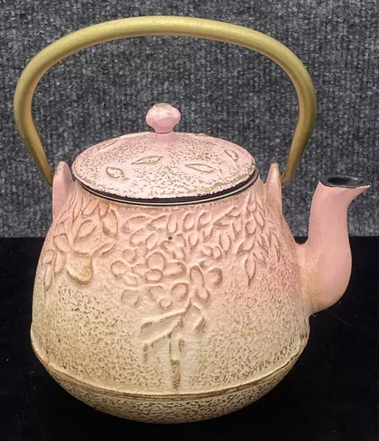 Kettle With Strainer Cast Iron Tea Pot Iron Asian Style Pink 4"