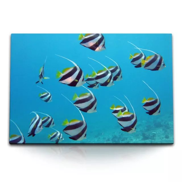 120x80cm Wandbild auf Leinwand Schwarm Wimpelfisch tropische Fische unter Wasser