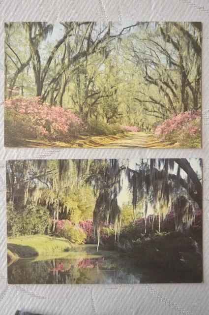 CPSM " Lot de 2 cartes postales de LOUISIANE - Paysage