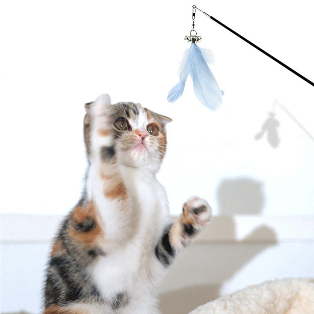 2 Pcs Haustier Neckendes Spielzeug Spielzeug Für Haustiere Katze Spielt