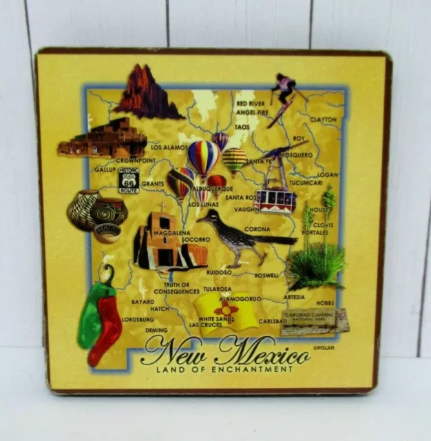 NEW MEXICO LAND OF ENCHANTMENT POTTERY CHILI PEPPERS SKIING Refrigerator Magnet