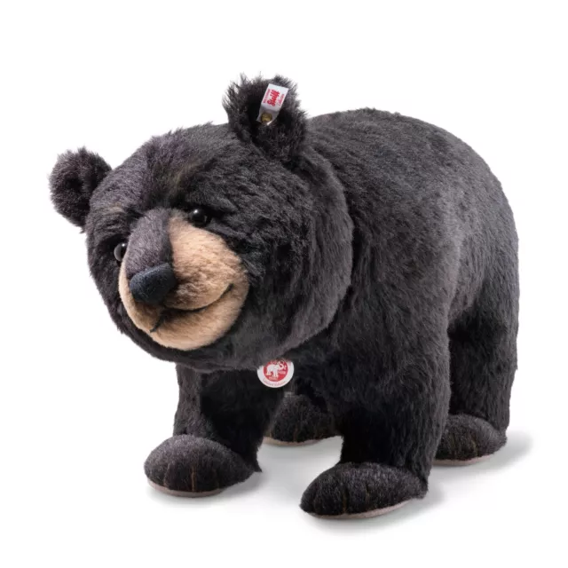 Mr nounours top