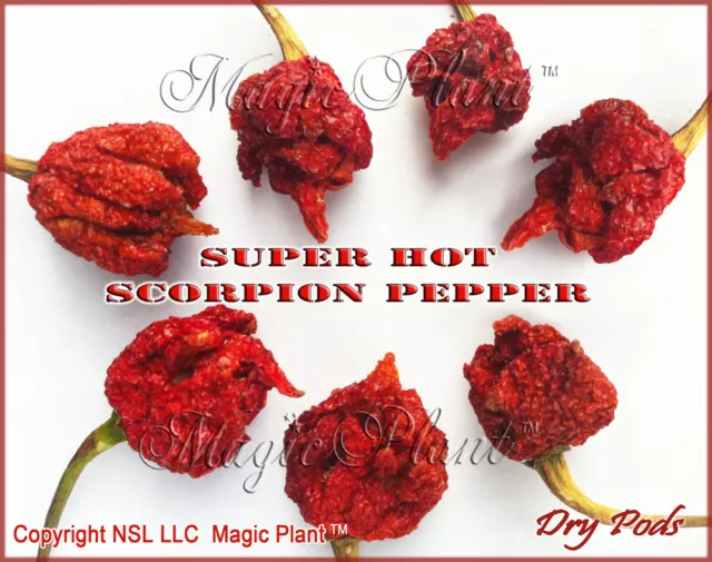 Scorpion Pepper - Dried Trinidad Scorpion Peppers Whole Pods 1LB (454g)