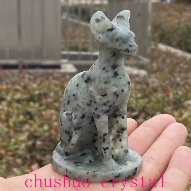 1pc Natural Tianshan Blue Hairless cat Quartz Crystal Skull Carved Figurines 3"
