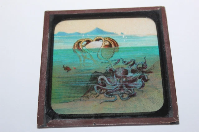 ANTIQUE COLOURED MAGIC LANTERN SLIDE SEA BED MARINE SEA OCTOPUS No 20