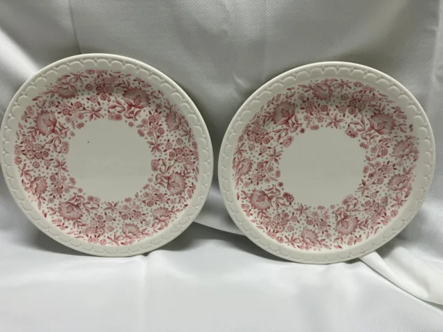 Vintage Plates Dinner Syracuse China Econo Rim 9.5 in Red Flowers Set of 2