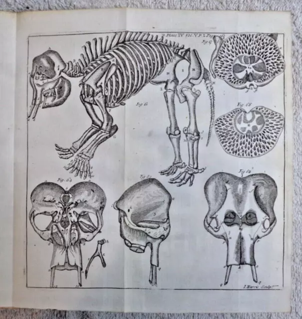 1721 JONES PHILOSOPHICAL TRANSACTIONS ABRIDGED Vol V 1700-1721 Anatomy Medicine