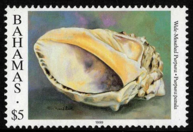 Bahamas Shells. Scott #863c $5.00- Wide Mouthed Purpura. M.N.H. Inscribed 1999