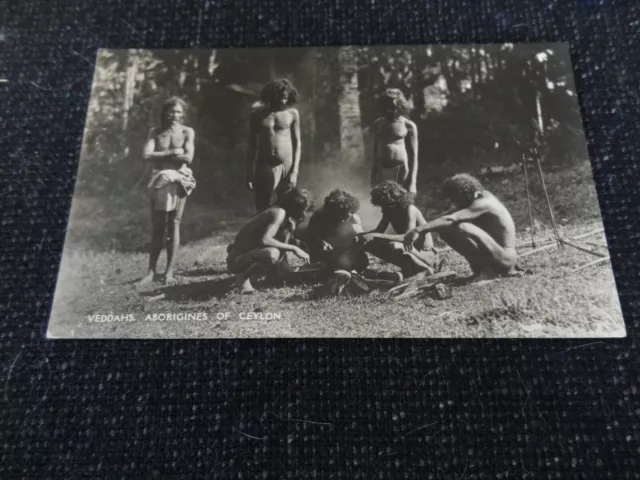 Social History Postcard Veddahs Aborigines of Ceylon - 49904