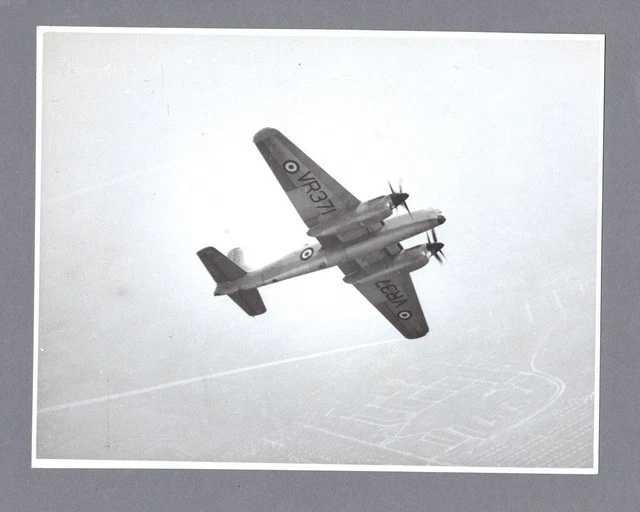 Short Sturgeon Large Vintage Original Manufacturers Stamped Photo Royal Navy 54