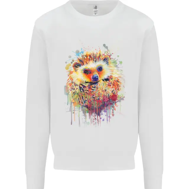 Watercolour Hedgehog Kids Sweatshirt Jumper