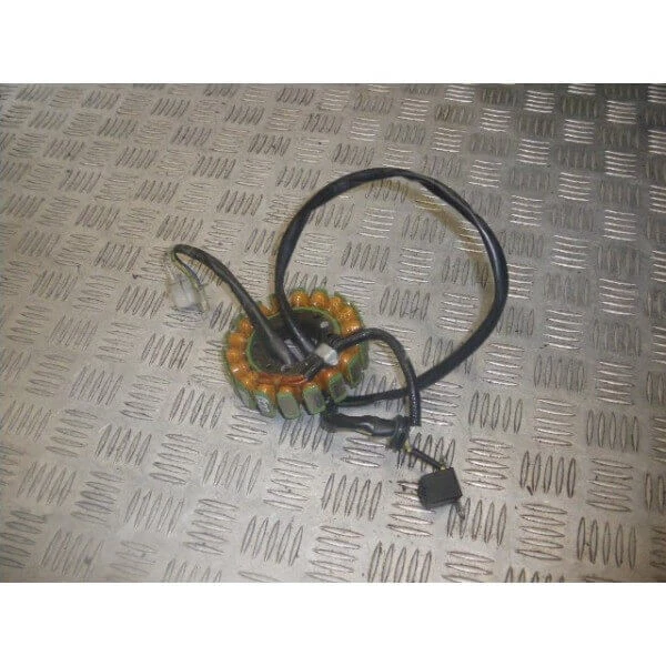 Yamaha Fzs 600 Fazer Stator Allumage Alternateur Type Rj021 - 1998/2001