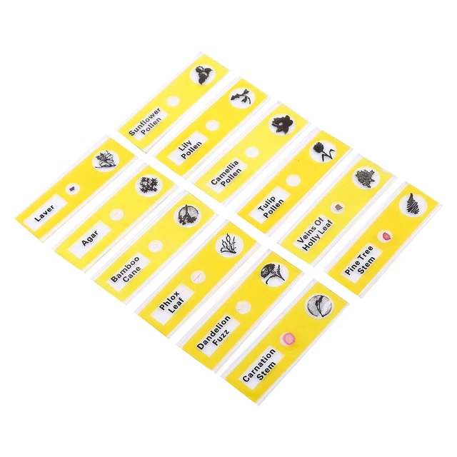 (Yellow)Magic Lantern Slides 12pcs/Box Professional Type Blank Microscope