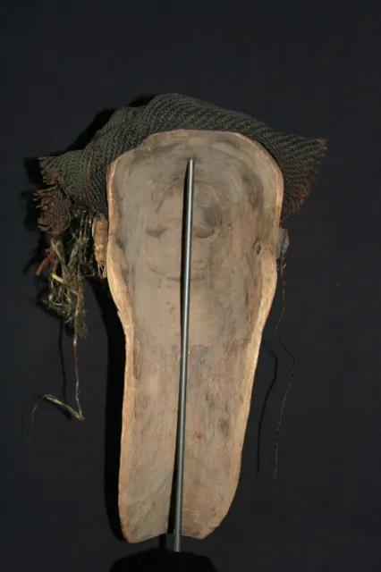 African wooden dance Mask, Pende People, 58cm/23 inch, Zaire, Congo, Africa 6