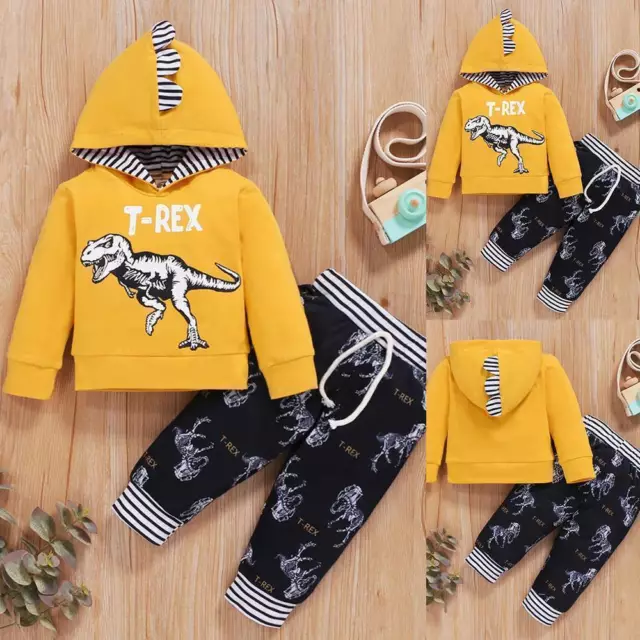 2PCS Kids Baby Boys Dinosaur Hooded Jumper Tops Pants Tracksuit Outfit Clothes