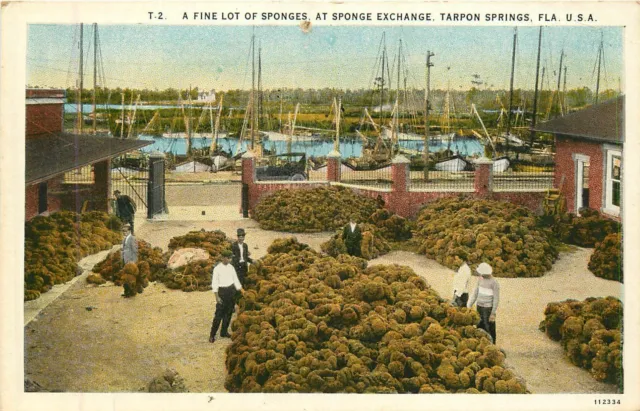 Florida, FL, Tarpon Springs, Sponge Exchange 1920's Postcard