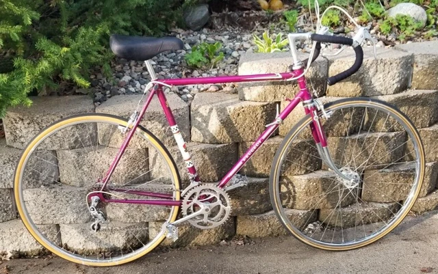 peugeot bike record du monde