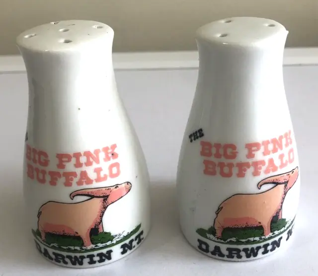 Vintage Retro The Big Pink Buffalo NT Salt And Pepper Shakers Tourist Ware