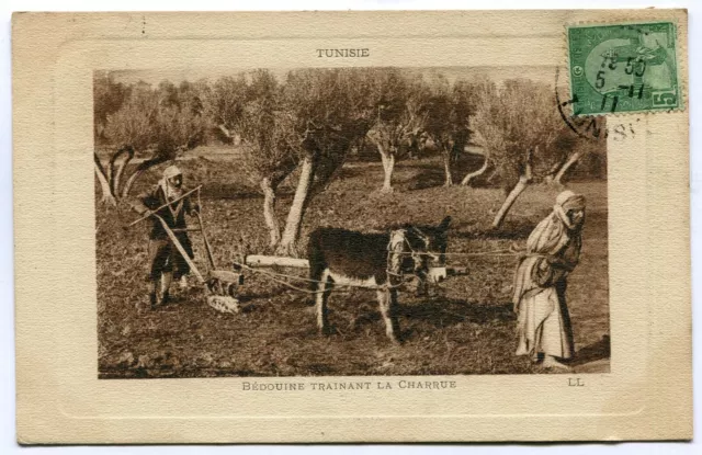 CPA - Carte Postale - Tunisie - Tunis - Bédouine traînant la Charrue - 1912