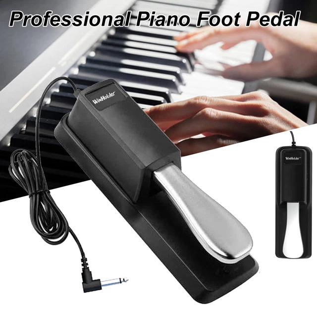 Universal Damper Piano Keyboard Sustain Foot Pedal for Yamaha Casio Korg Roland
