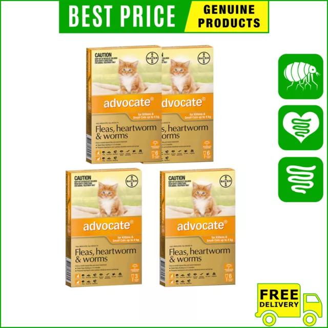 ADVOCATE for Upto 4 Kg Cats 3,6,12 Pipettes Heartworm Flea Worm Control ORANGE