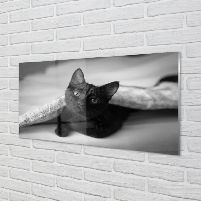Tulup Cuadros en Vidrio 120x60 arte de la pared Gato bajo el edredón
