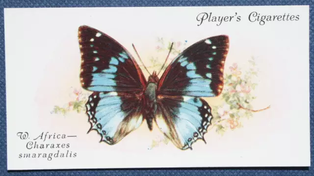 WESTERN BLUE CHARAXES   African Butterfly   Vintage Colour Card   WC13