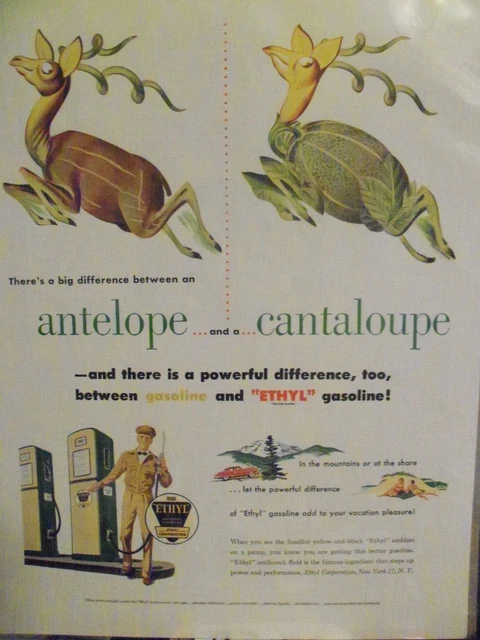 Antelope or Cantaloupe  - Ethyl Gasoline Fuel Oil EV Advertising  11 x 14  1951