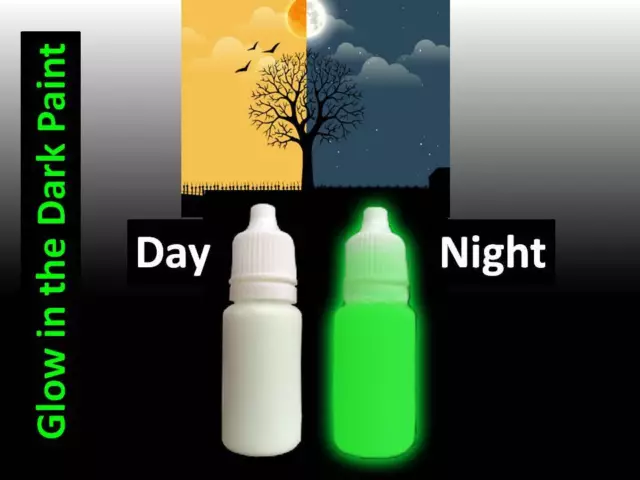 Glow in the Dark Paint Water Soluble Toy Safe for Fun and Professional Use