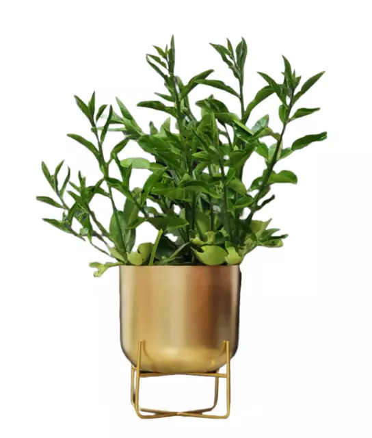 Jardinière en métal Pot or plante support de fleur support de pot...