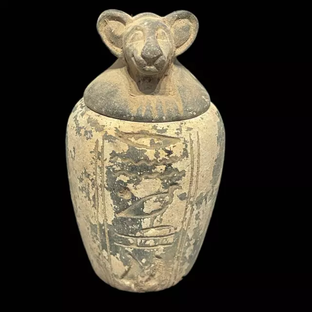 Rare Ancient Egyptian Heavy Stone Canopic Vessel Depicting The God Babi (1)