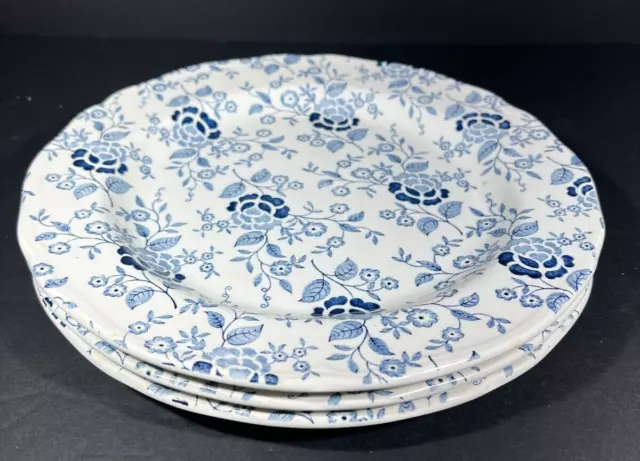 3 Royal Staffordshire Heirloom Ironstone JG Meakin Blue Floral 10 3/8" Dinner Pl