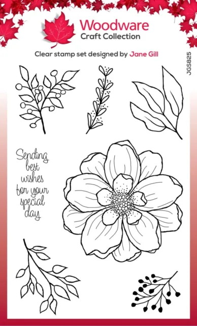 Woodware Arrange Me Flower Sentiment Leaf Clear Stamp Set Birthday Card Making