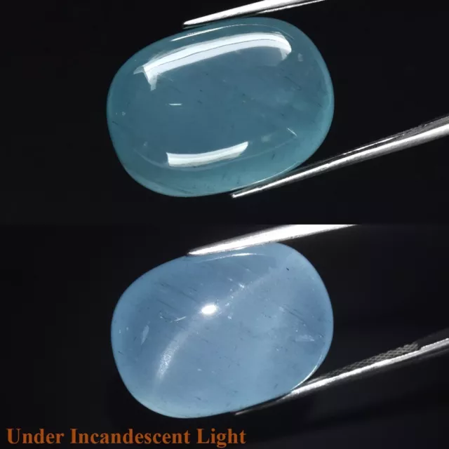 CERTIFICATE Incl.*27.62ct Cushion Cab Natural Unheated Blue Cat's Eye Aquamarine