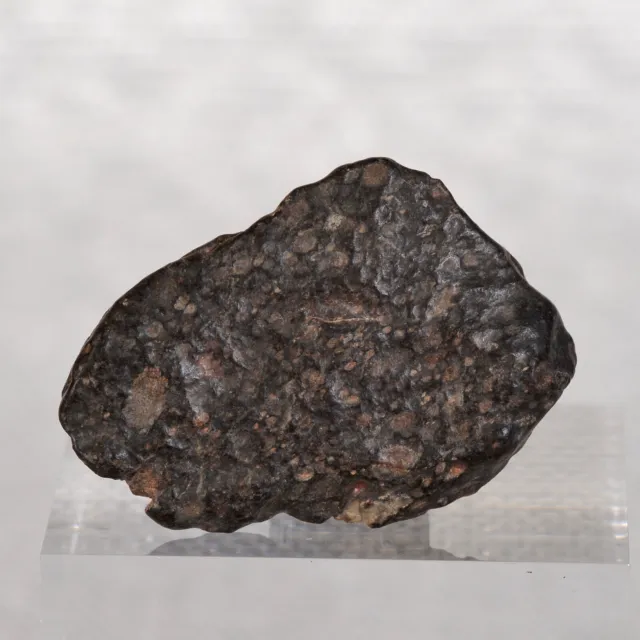 News Meteorite Condrite 7,58 G Spray Tipo CV3 IN Corso Da Anni #D40.7