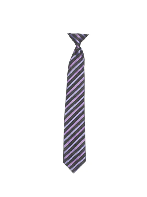 Assorted Brands Boys Purple Necktie One Size