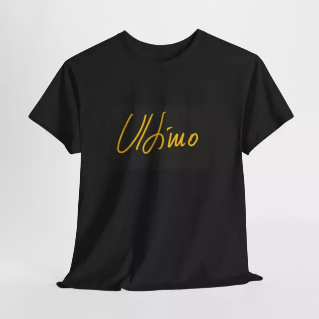 T SHIRT ULTIMO concerto STADI 2024 con data evento LA FAVOLA CONTINUA EUR 19 90 PicClick IT